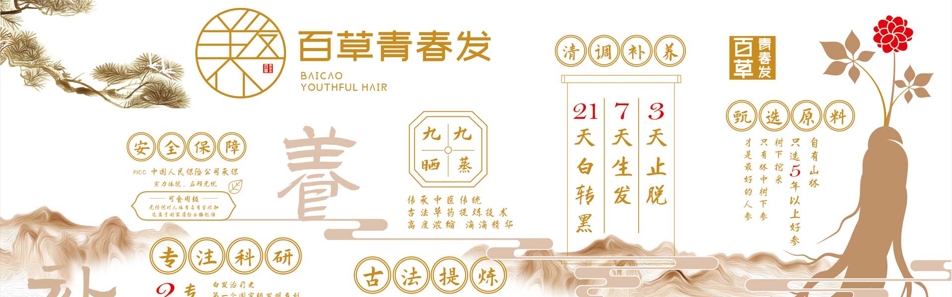 头部轮转图